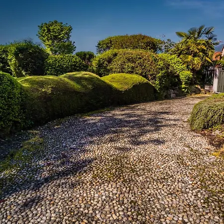 Buzzi Bed & Breakfast *