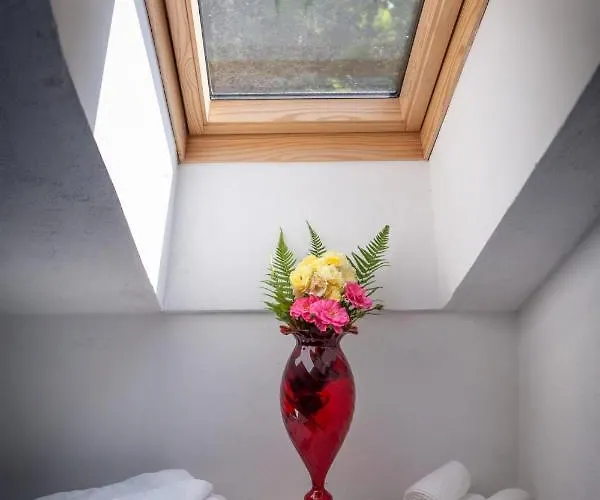 Bed & Breakfast Buzzi